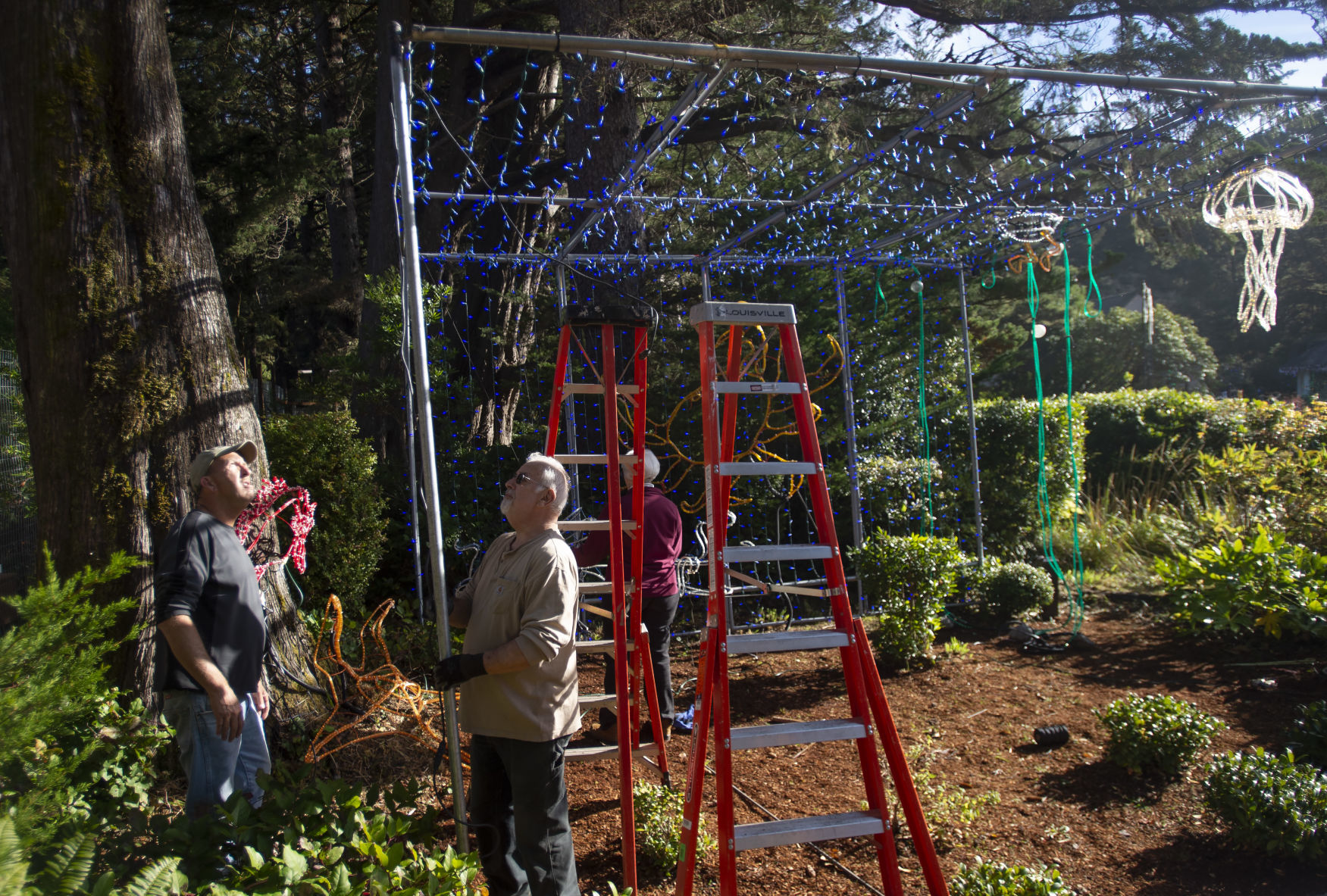 Shore Acres Light Setup
